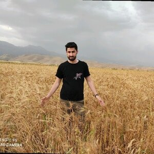 Akar Qadir
